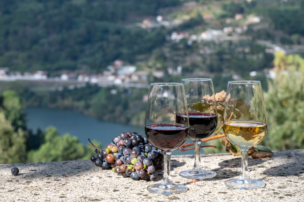 Imagem de vinhos fortificados produzidos no Vale do Douro.