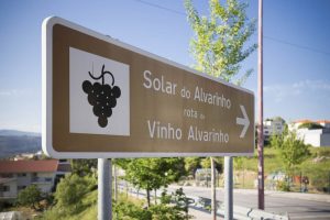 Guia das uvas: albariño, a casta da região de Vinhos Verdes