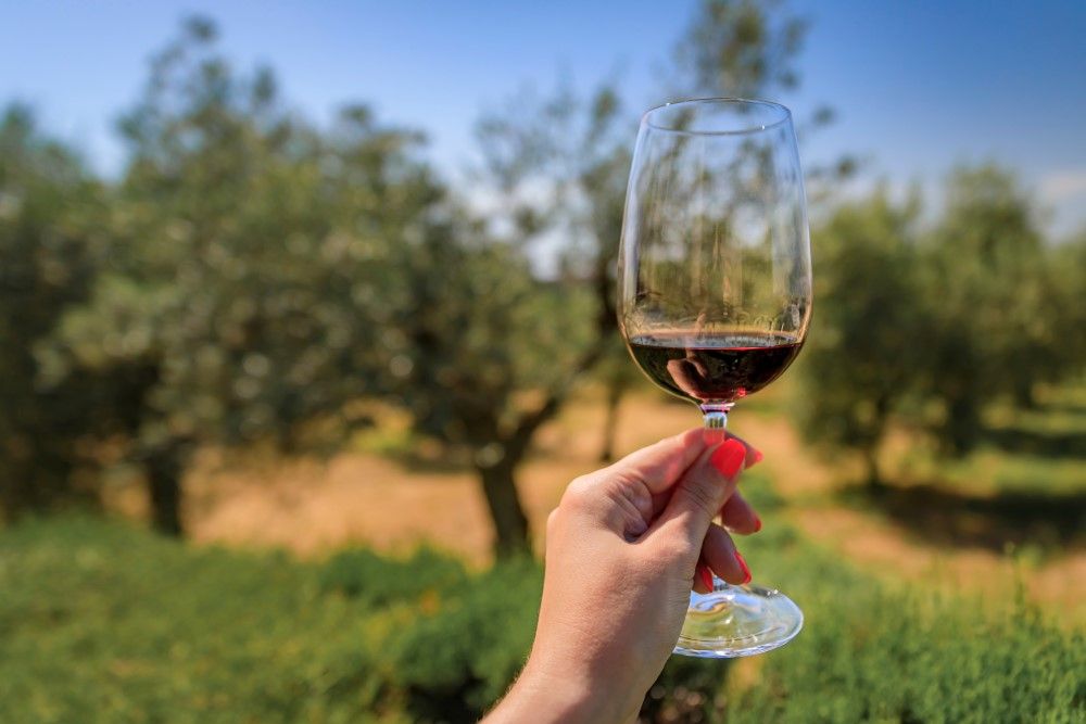 Pessoa Segurando Uma Taça Com Vinho Supertoscano E Uma Vinícola Ao Fundo.