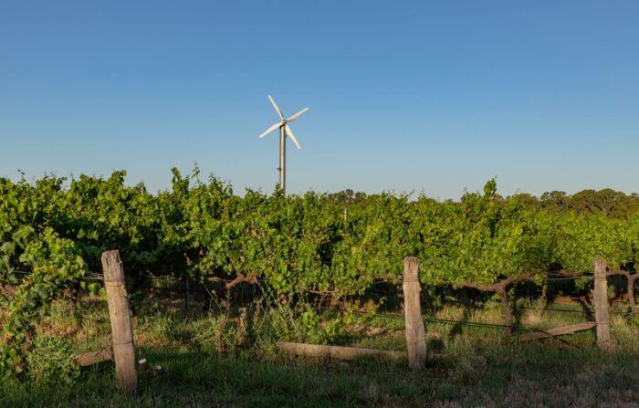 Vinícola Avignonesi, localizada na Toscana