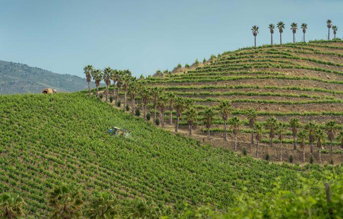 Região Douro