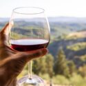 O Que Significa Vinho Barolo? Saiba Mais Sobre!
