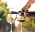 Vinho Sangiovese: 7 Exemplares Para Experimentar!