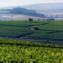 Vinhos Jean Durup: Conheça Os Rótulos E A Tradição De Chablis