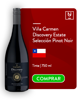Carmen Discovery Estate Selección Pinot Noir