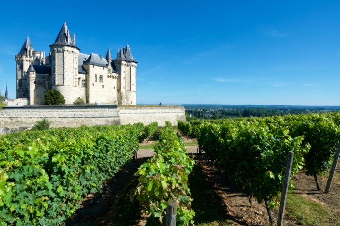 Vinhedo e Chatêau no Vale do Loire.