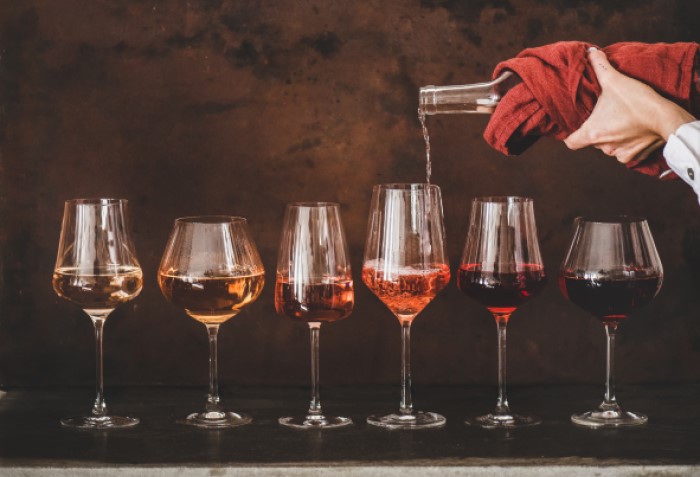 Diferentes tipos de vinho em tipos de taças de vinho diferentes.