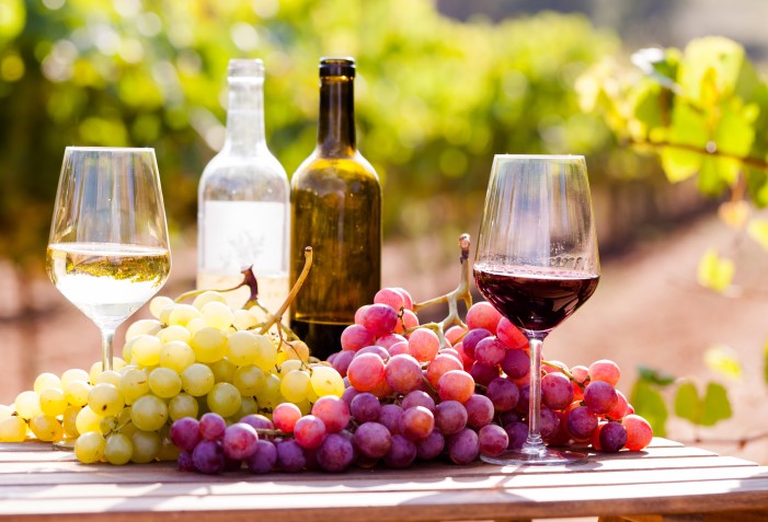 Uvas, garrafas e taças com vinho argentino.