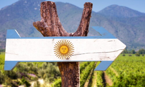 Vinhedos Argentinos Com Placa De Madeira Com Bandeira Argentina Pintada.