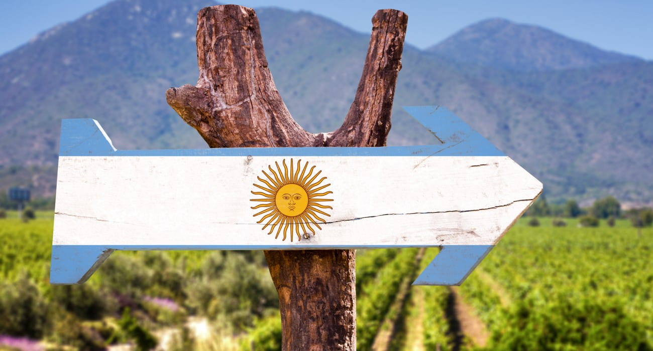 Guia Completo Do Vinho Argentino: Conheça Os Rótulos