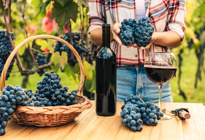 Winehunter com cachos de uvas, garrafa de vinho e taça com vinho.