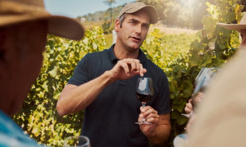 Winehunter Prova Vinho Em Vinhedo De Vinícola.