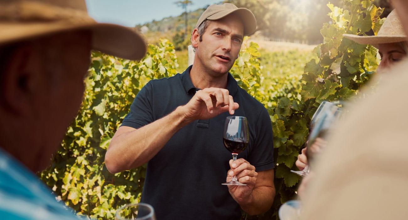 Winehunter: Saiba Quem Procura Os Vinhos Que Você Ama