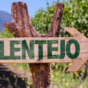 Guia Completo Dos Vinhos Do Alentejo: Rótulos, Uvas E Harmonizações