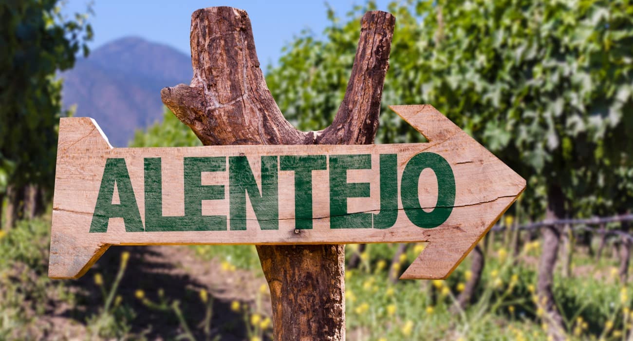 Guia Completo Dos Vinhos Do Alentejo: Rótulos, Uvas E Harmonizações