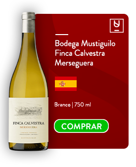 Bodega Mustiguilo Finca Calvestra Meseguera