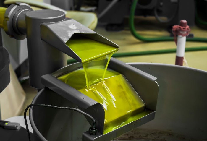 Processo de extração a frio de azeite extravirgem.