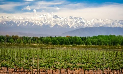 Vinícola Catena Zapata