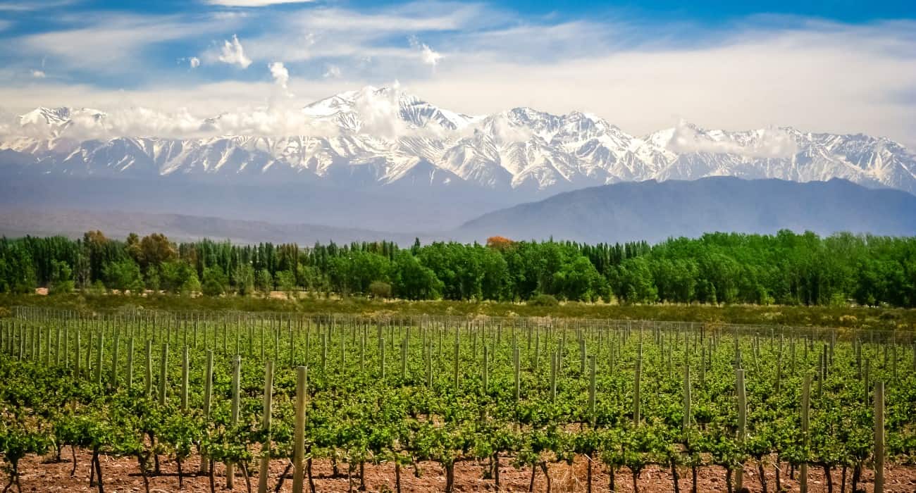 Catena Zapata: Dicas De Rótulos E História Da Vinícola