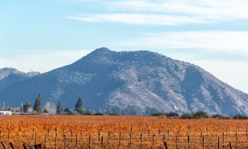 Região Onde Há Produção De Casillero Del Diablo.