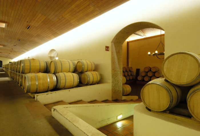 Adega de vinhos, guardando barris de Casillero del Diablo.