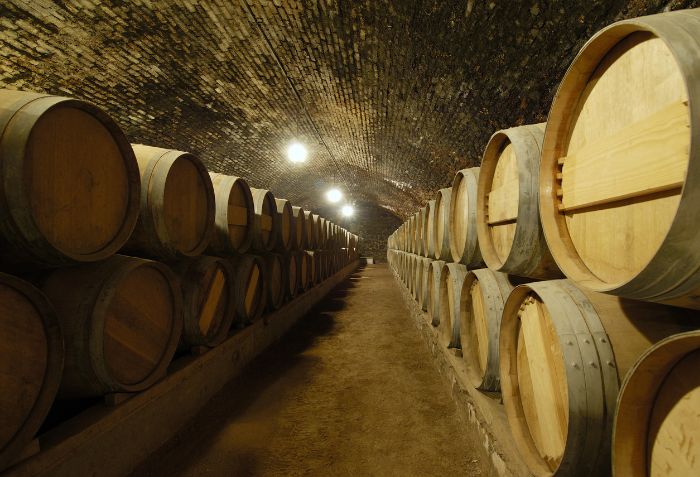 "Casillero" significa pequena adega, lugar com finalidade de guardar vinhos.