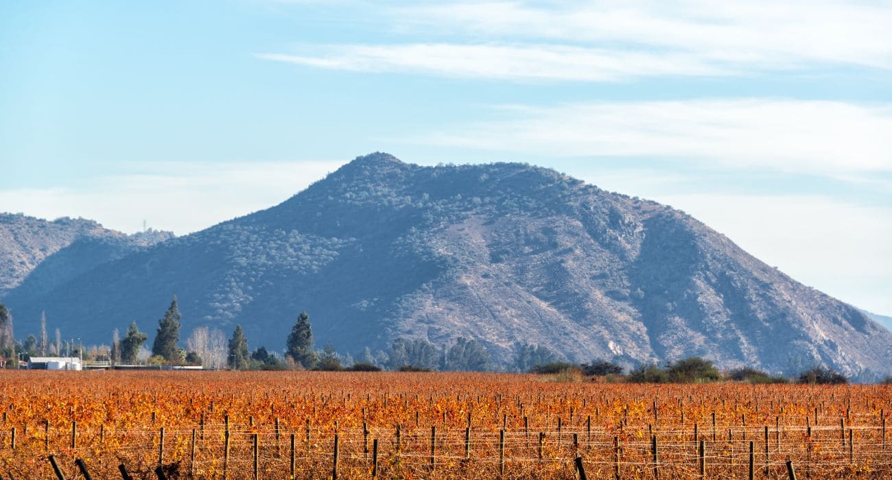Do Chile Para O Mundo: Tudo Sobre O Vinho Casillero Del Diablo