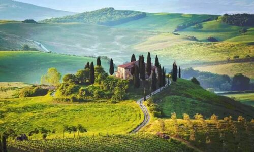 Paisagem Da Toscana Com Colinas Verdes, Vinhedos E Uma Casa De Campo Cercada Por Ciprestes Ao Amanhecer.