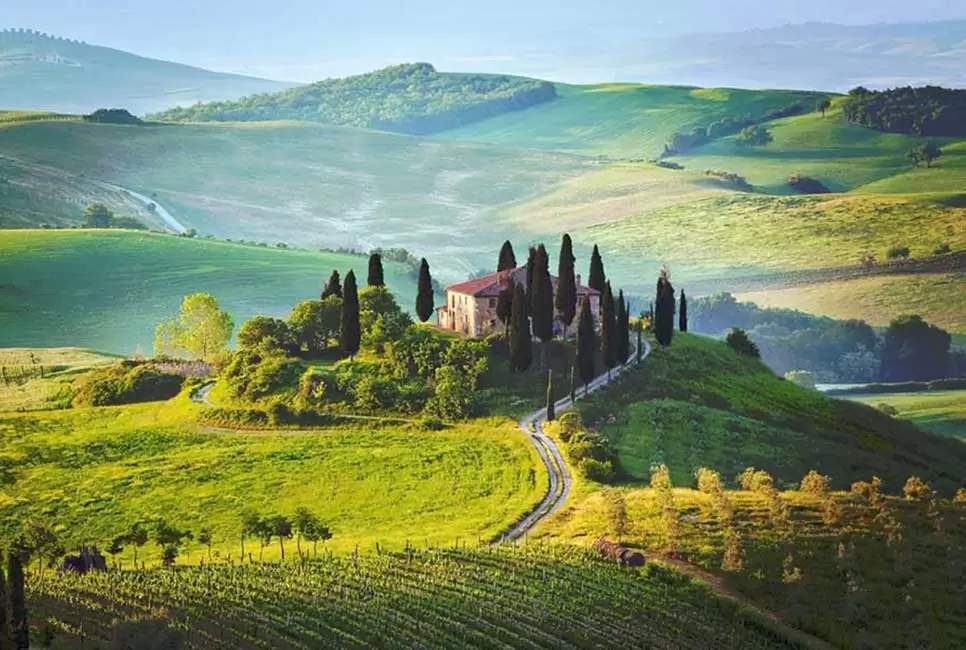 Paisagem Da Toscana Com Colinas Verdes, Vinhedos E Uma Casa De Campo Cercada Por Ciprestes Ao Amanhecer.